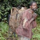 Hunting and close proximity to animals is a source of disease
