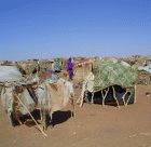 Makeshift shelters at camp in southern Darfur
