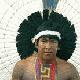 Brazilian indigenous groups attending the meeting called for benefits derived from traditional knowledge to be shared fairly