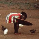 Last week it was confirmed that the H5N1 virus had reached Africa 
