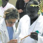 Scientists collaborating