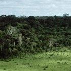 Journalists can stimulate environmental debate
