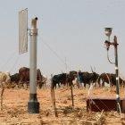 Wind erosion observation system in Banizoumbou, Niger