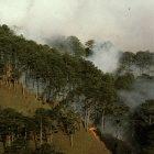 Large-scale fires make a significant contribution to methane emissions