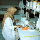 A scientist exchange programme will be part of the plan