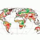 Scholze et al. predict that large portions of forest (red) will disappear if the planet warms by 3*C or more 