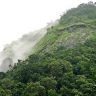 Pristine forest, Karnataka, India