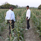Agriculture research in India