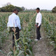 Agriculture research in India