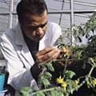 Indian researchers must make more links with industry