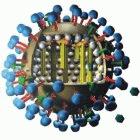 Influenza virus with haemagglutinin (blue)