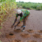 Innovative farming practices in Africa