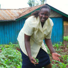 Intercropping, Africa
