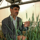 Iranian scientist Iranian scientist