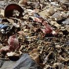 Landfill sites emit gases such as methane