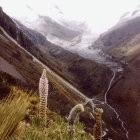 Glaciers are melting rapidly in Peru