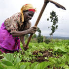 Farmer, Kenya