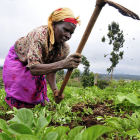 Woman farmer
