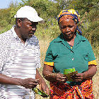 A researcher with a farmer in Kenya