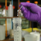 Laboratorio 
