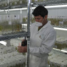 Scientists in Arab World 