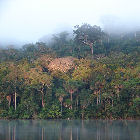 Lago Chalalán - P.N. Madidi - La Paz - Bolivia