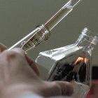 Recent allegations of scientific misconduct have been widely reported in the Chinese media