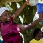 LifeStraw water filter developed through the Carbon for Water project LifeStraw water filter developed through the Carbon for Water project