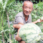 Liu Xingshan, Chinese  farmer and inventor