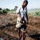 Science and innovation will be used to improve crops in Mozambique