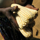 Maize farmer/Africa