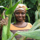 A maize farmer