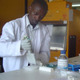 Maize research, Kenya