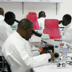Malaria researchers