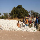 Cotton farmers in Mali