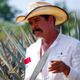 An agave farmer in Mexico