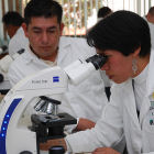 Researchers in a laboratory