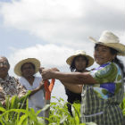 Tending crops in Mexico Tending crops in Mexico