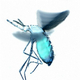 Mosquito engorged and in flight