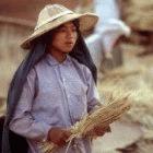Wheat harvest in Myanmar: the crop is important in many developing countries