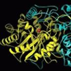 A protein of <i>Mycobacterium tuberculosis</i>, a potential target for anti-TB drugs