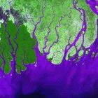 Ganges river delta