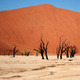 Namib Desert, Namibia