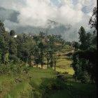 The research centre will study Nepal's biodiversity and environment