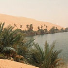 Commercialising genes 'may help conserve Mexican oasis'