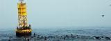 Flickr/d0ug&r0byn