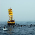 Ocean buoy, Farallon Islands Ocean buoy, Farallon Islands