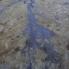 Oil contaminated soil