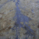 Oil contaminated soil
