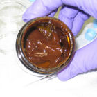 A lab sample of oil spill